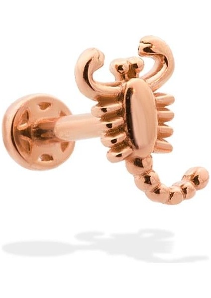14 Ayar Altın Akrep Motifli Minimal Tragus Piercing