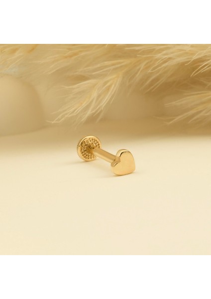 14 Ayar Altın Kalp Minimal Tragus Piercing