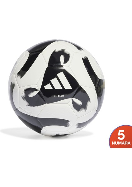Halı ve Çim Saha Günlük Kullanım Standart 5 Numara Futbol Topu