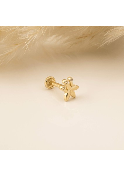 14 Ayar Altın Taç Minimal Tragus Piercing modelleri