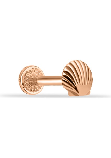 14 Ayar Altın Midye Minimal Tragus Piercing