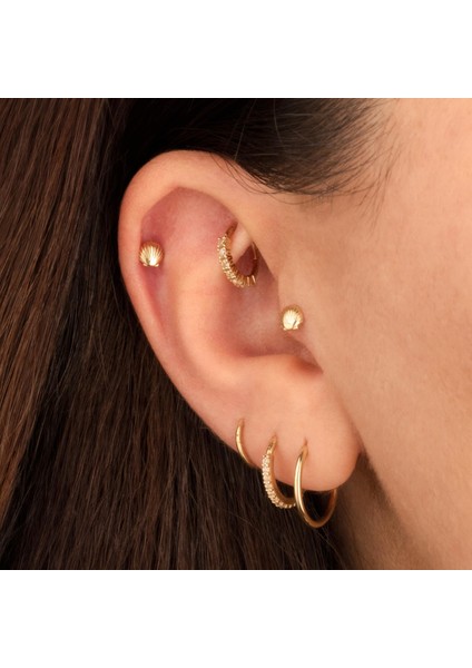 14 Ayar Altın Midye Minimal Tragus Piercing