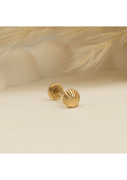 14 Ayar Altın Midye Minimal Tragus Piercing