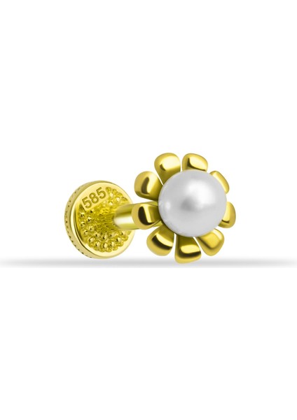 14 Ayar Altın Incili Çiçek Minimal Tragus Piercing