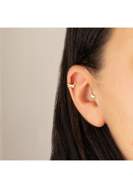14 Ayar Altın Kedi Motifli Tragus Piercing fiyatları