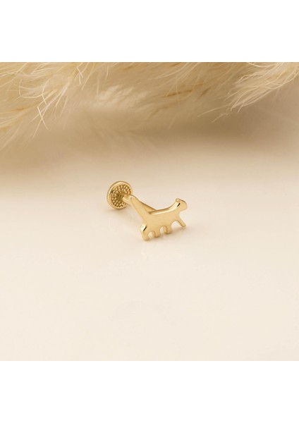 14 Ayar Altın Kedi Motifli Tragus Piercing modelleri