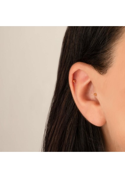 14 Ayar Altın Diken Motifli Minimal Tragus Piercing