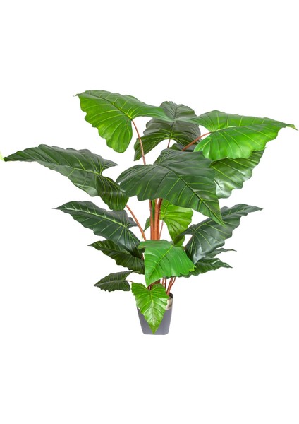 Yapay Alocasia - Fil Kulağı Ağacı Gerçek Dokulu 16 Yaprak 150 Cm.