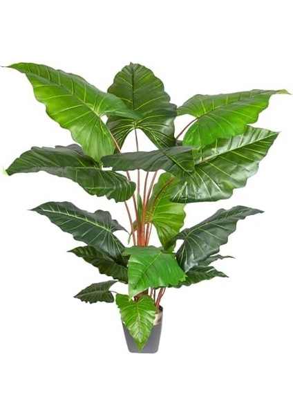 Yapay Alocasia - Fil Kulağı Ağacı Gerçek Dokulu 16 Yaprak 150 Cm.