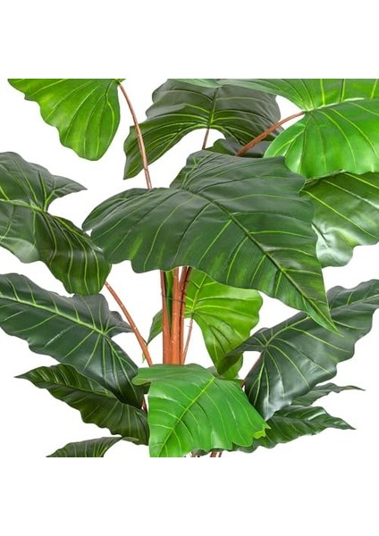 Yapay Alocasia - Fil Kulağı Ağacı Gerçek Dokulu 16 Yaprak 150 Cm.