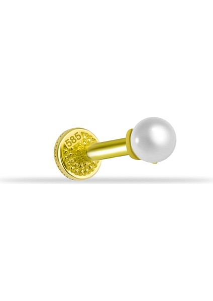 14 Ayar Altın Incili Tragus Piercing