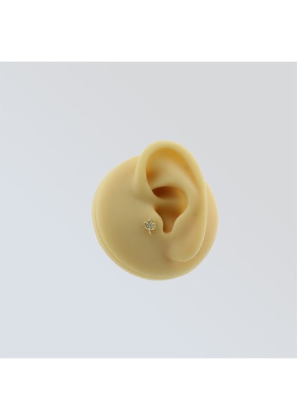 14 Ayar Altın Taşlı Yaprak Motifli Minimal Tragus Piercing