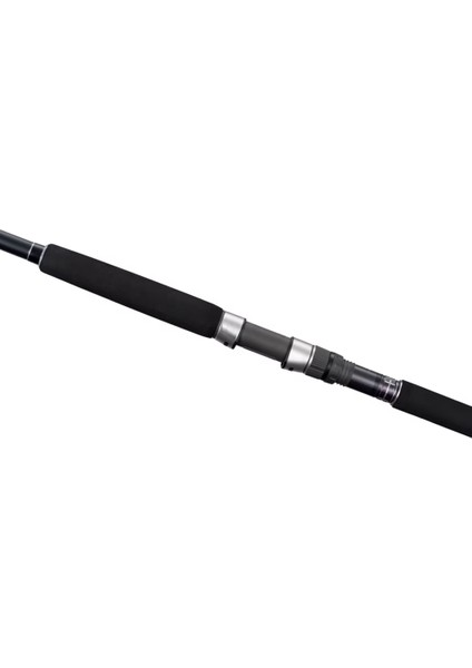 Currentsniper Xr 290 cm Max 70 gr Shore Jig Kamış