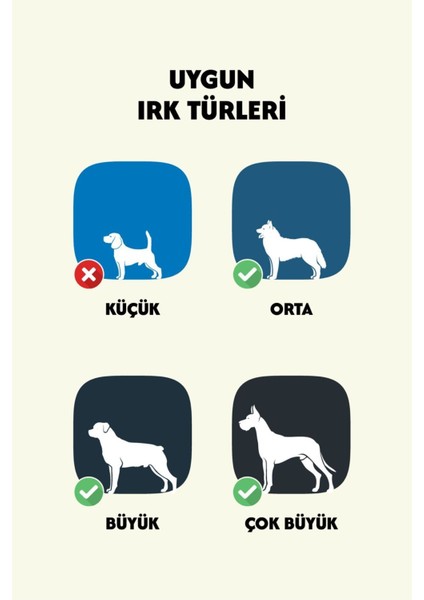 Dana Ayak %100 Doğal Kemirmelik Ödül Maması 1 Adet