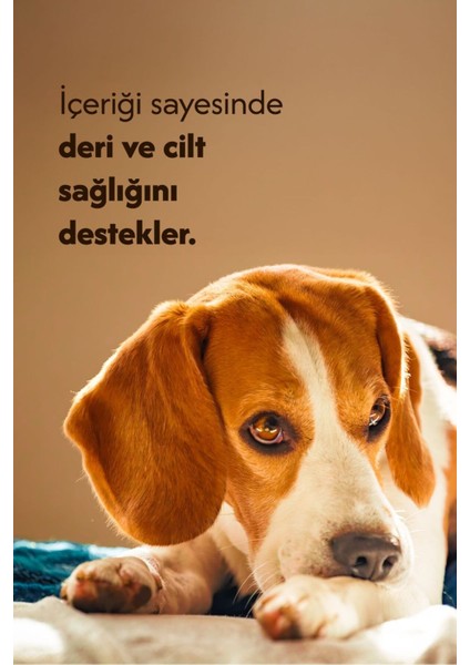 Dana Tırnak %100 Doğal Köpek Ödül Maması