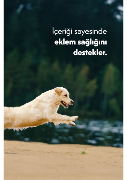 Oğlak Ayak %100 Doğal Köpek Ödül Maması