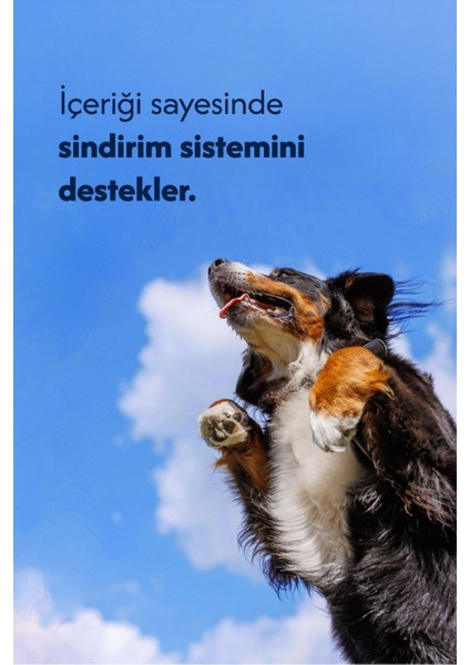 Kuzu Işkembe Mini %100 Doğal Atıştırmalık Köpek Ödül Maması 100 Gram