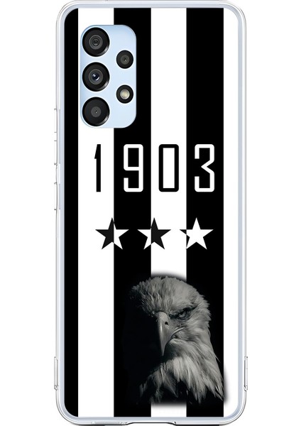 Samsung Galaxy A53 Uyumlu Şeffaf Kılıf 1903 Kartal Tasarımlı
