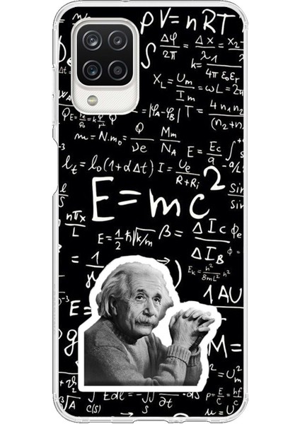 Samsung Galaxy A12 Uyumlu Şeffaf Kılıf Einstein Tasarımlı