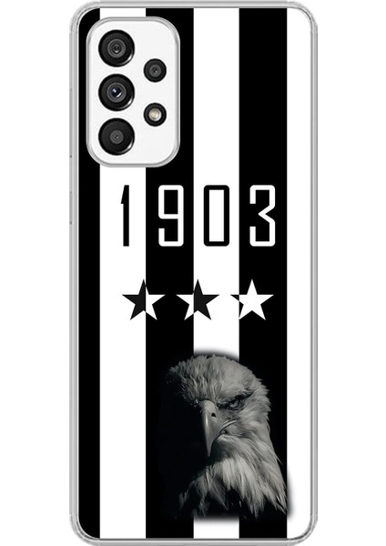 Samsung Galaxy A73 Uyumlu Şeffaf Kılıf 1903 Kartal Tasarımlı