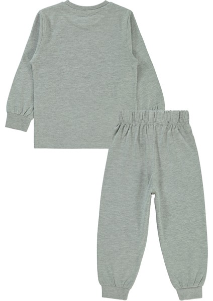 Düt Düt Erkek Çocuk Pijama Takımı 2-5 Yaş Grimelanj fiyatları