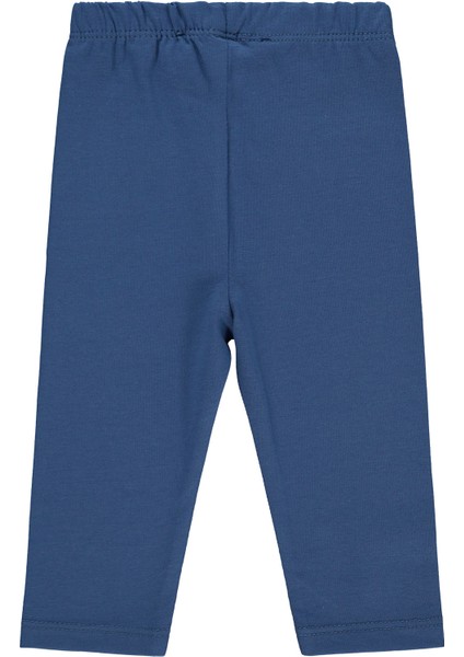 Civil Baby Kız Bebek Tayt 6-18 Ay Indigo fiyatları