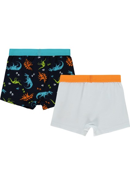Erkek Çocuk 2'li Boxer Set 2-10 Yaş Standart fiyatları