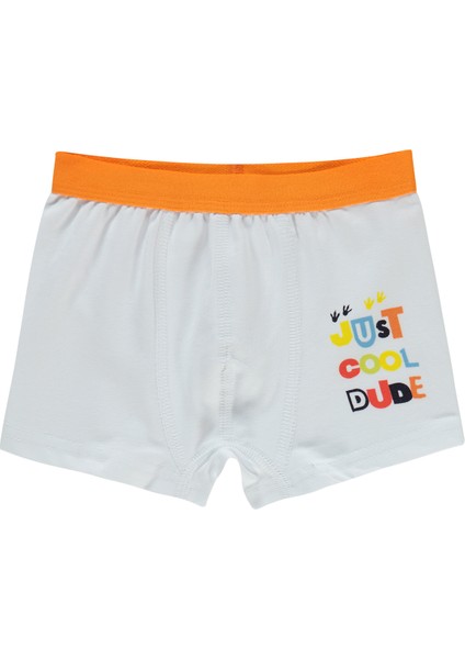 Erkek Çocuk 2'li Boxer Set 2-10 Yaş Standart modelleri