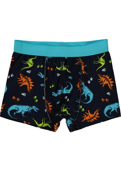 Erkek Çocuk 2'li Boxer Set 2-10 Yaş Standart fırsatları