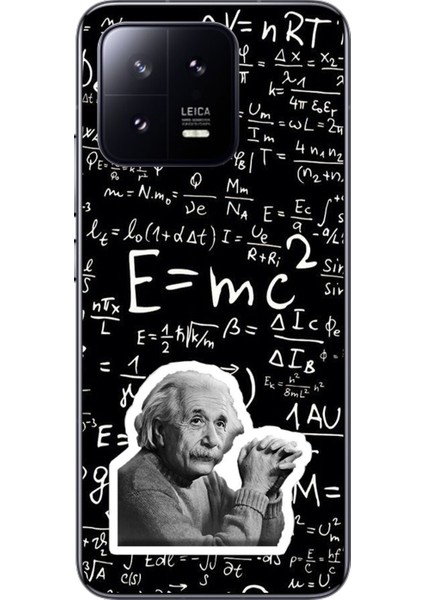Xiaomi Mi 13 Uyumlu Şeffaf Kılıf Einstein Tasarımlı