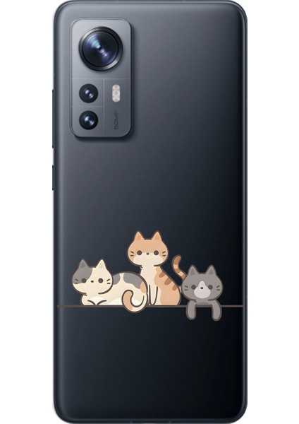 Xiaomi Mi 12 Pro Uyumlu Şeffaf Kılıf Kedişler 4 Tasarımlı