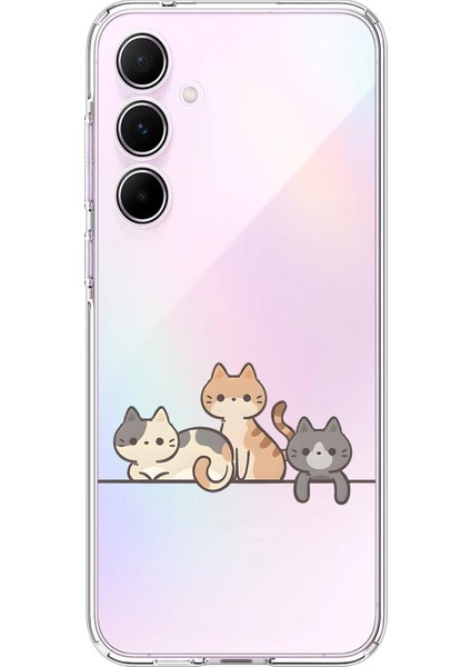 Samsung Galaxy A55 Uyumlu Şeffaf Kılıf Kedişler 4 Tasarımlı