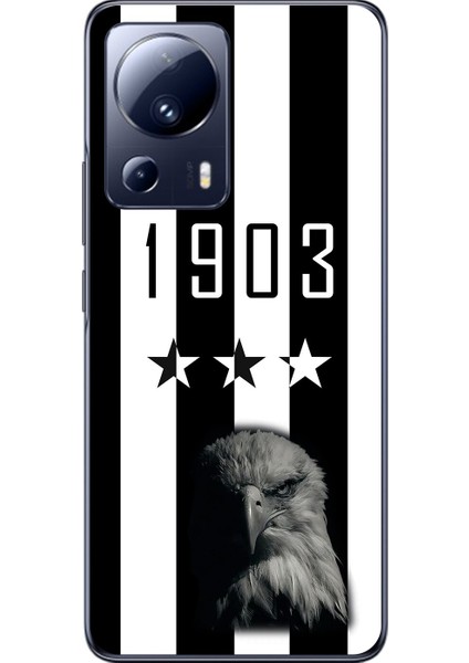 Xiaomi Mi 13 Lite Uyumlu Şeffaf Kılıf 1903 Kartal Tasarımlı