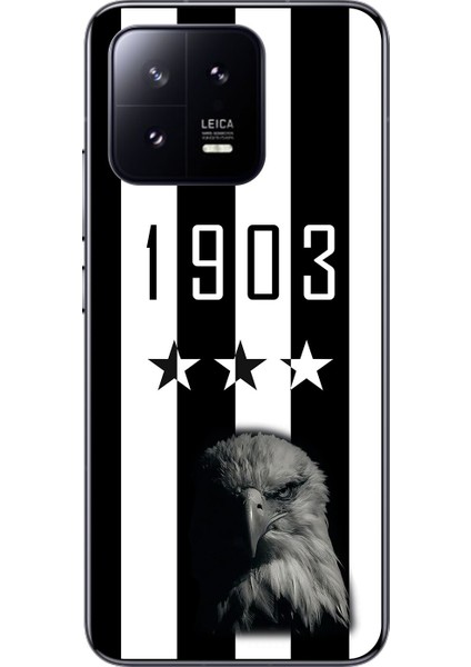 Xiaomi Mi 13 Uyumlu Şeffaf Kılıf 1903 Kartal Tasarımlı