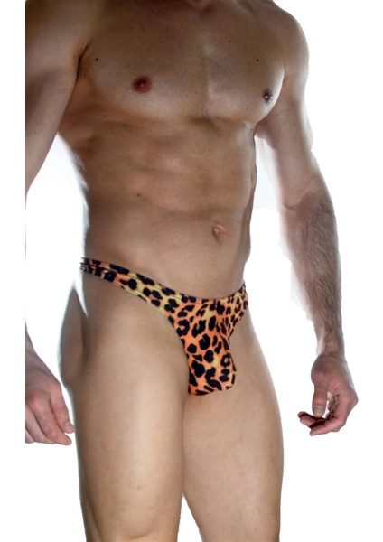 - Erkek Arkası Metalli Leopar Tanga Çamaşır fırsatları
