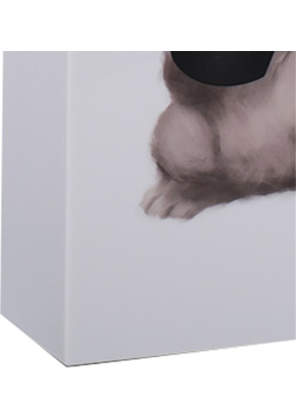 Karikatür Hayvan Mendil Kutusu, Creatives Mendil Kutusu Masaüstü Dekorasyon Peçete Kutusu, Banyo Oturma Odası Yüz Mendili B (Yurt Dışından) indirimleri