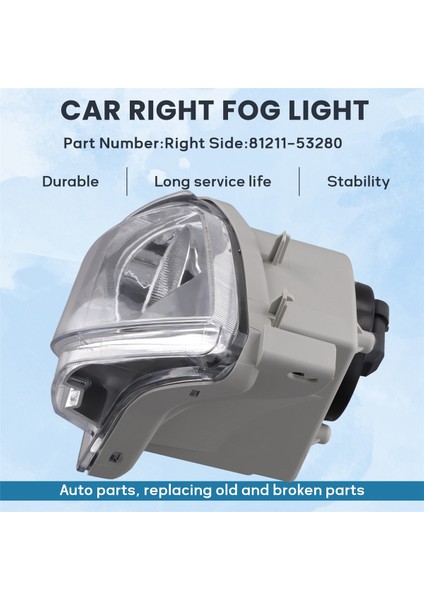 Lexus IS250 IS300 2006 2007 2008 2009 2010 Araba Ön Tampon Sis Lambası Sis Lambası Sis Farları Sağ Taraf 81211-53280 (Yurt Dışından) indirimleri