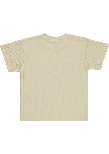 Erkek Çocuk Tişört 6-9 Yaş Bej fiyatları