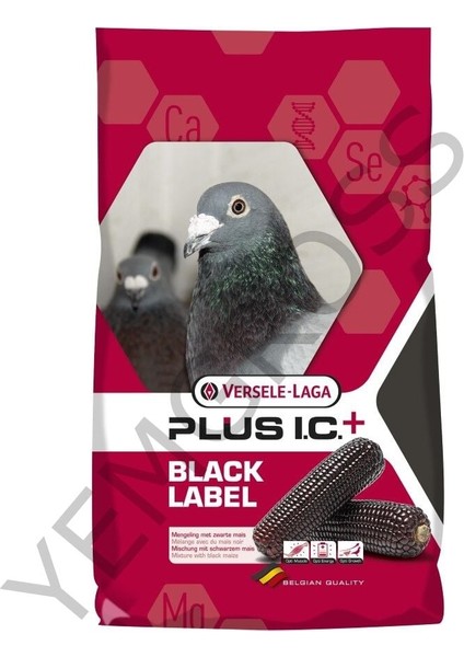 Fosforlu Çıngıraklı Kedi Boyun Tasması 10mm*30 cm fiyatları