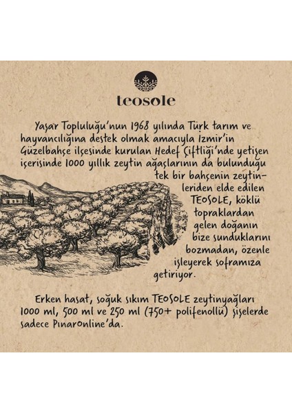 Teosole Kekikli Zeytinyağı 250 ml modelleri