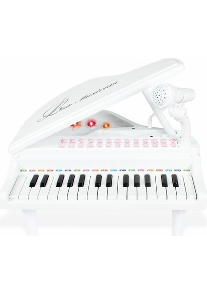 BAO-1504B 31 Tuşlu Mini Piano Mp3 -Vardem