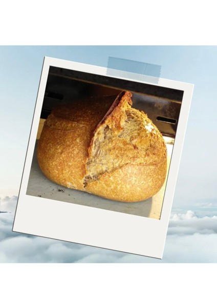 Forna Ekmek ve Pizza Pişirme Taşı / 30X38X1,5CM Fırın Taşı