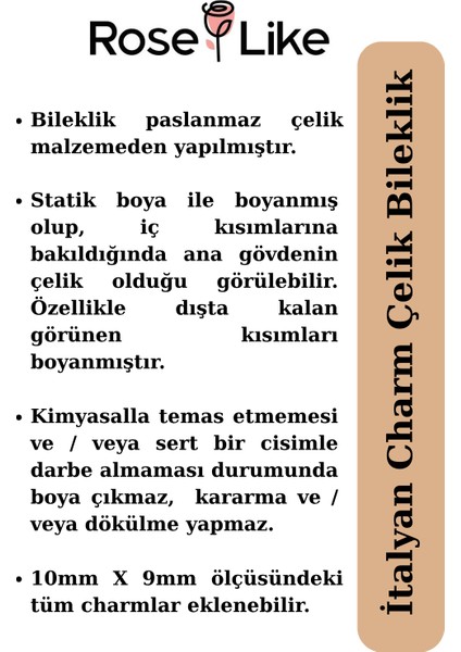 Italyan Charm Çelik Bileklik -Yazısız - Mat Altın Sarısı fırsatları