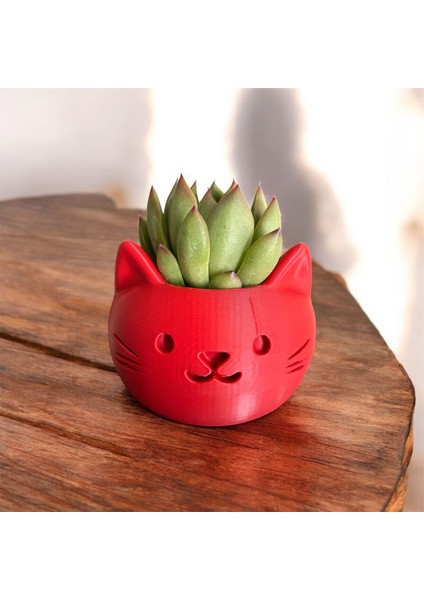 Kedi Yüzü Mini Sukulent Saksısı – 3D Yazıcı Üretimi, Dekoratif Saksı, Hediye Alternatifi