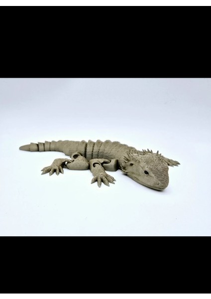 Eklemli Hareketli Keltenkele