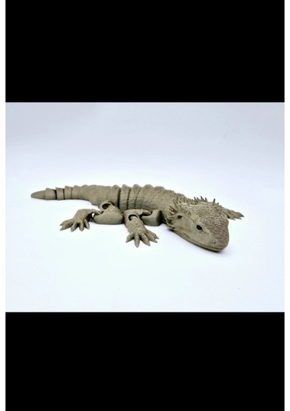 Eklemli Hareketli Keltenkele fiyatları