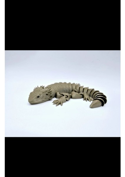 Eklemli Hareketli Keltenkele modelleri