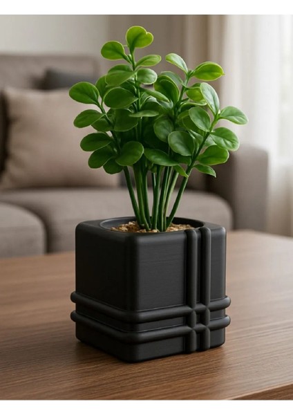 Siyah Mimari Kaktüs Saksı