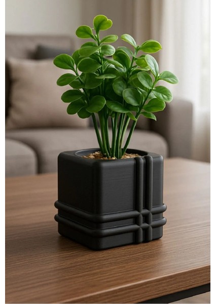 Siyah Mimari Kaktüs Saksı fiyatları