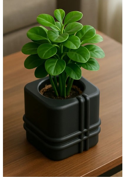 Siyah Mimari Kaktüs Saksı modelleri